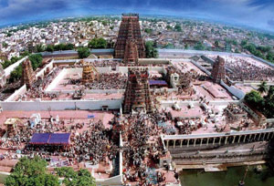 Cabs in Tirunelveli- Petchiammal travels